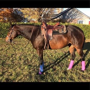 Meet your Posher, Frederique